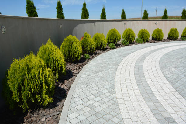 Best Driveway Repair Near Me  in Cadillac, MI